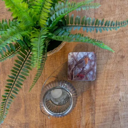 Tiny House Pimpelmees