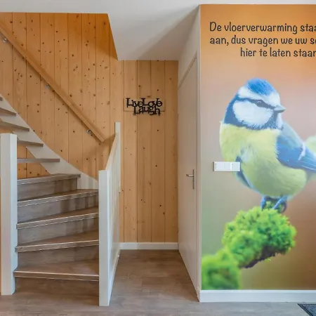 Tiny House Pimpelmees Holiday home Hulshorst