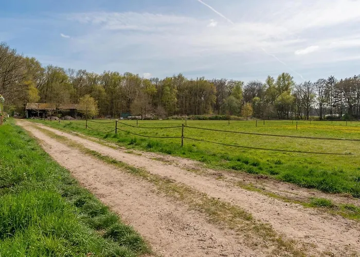 Pimpelmees * フルスホルスト